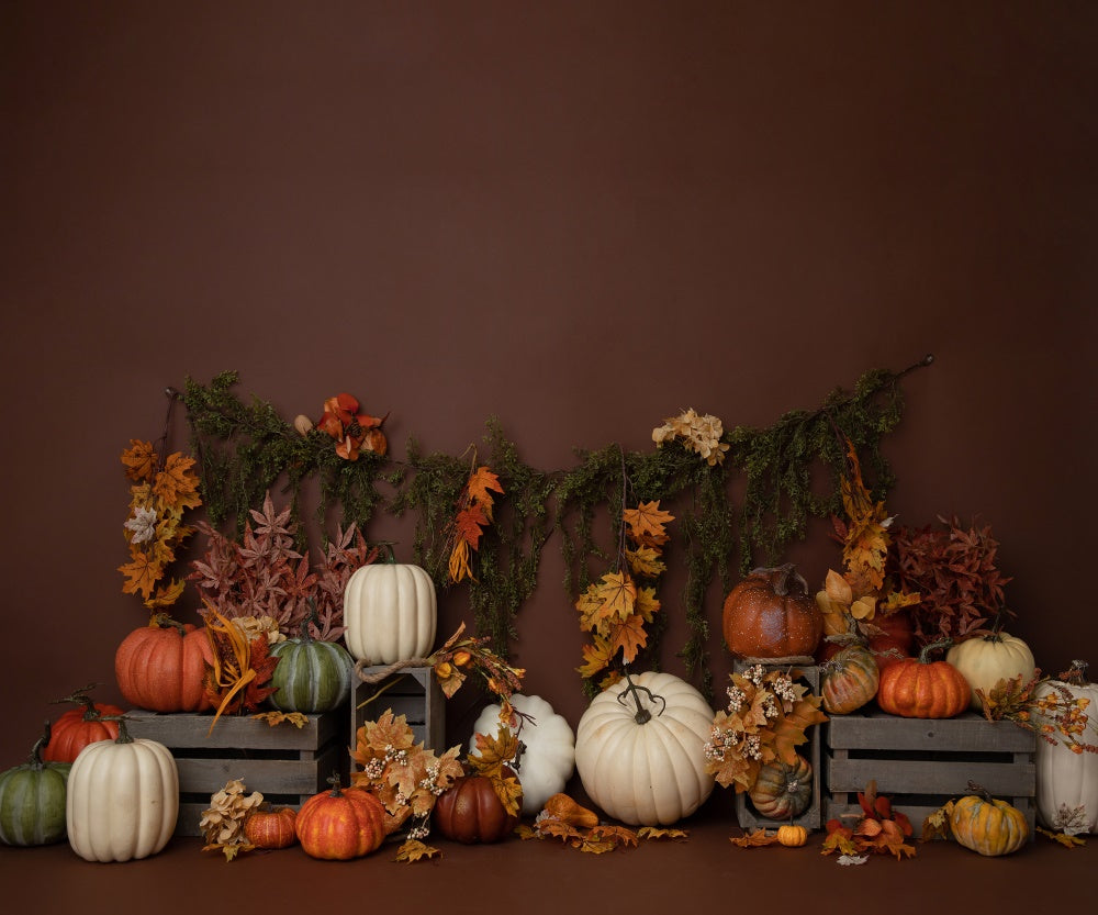 Fox Fall Vibes Autumn Vinyl Backdrop Designed by Blanca Perez