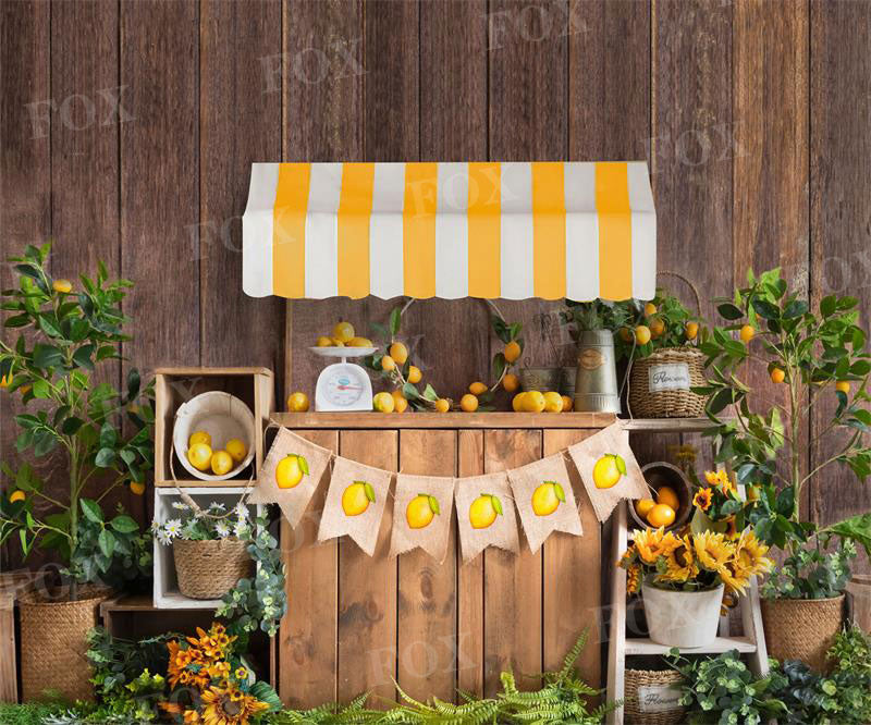 Fox Spring Birthday Party Lemonade Summer Vinyl Backdrop