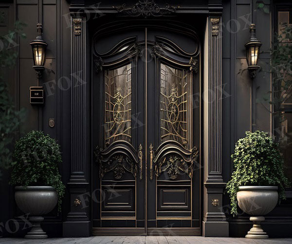Fox Vintage Doors and Windows Fabric/Vinyl Photography Backdrop Designed By Blanca Perez