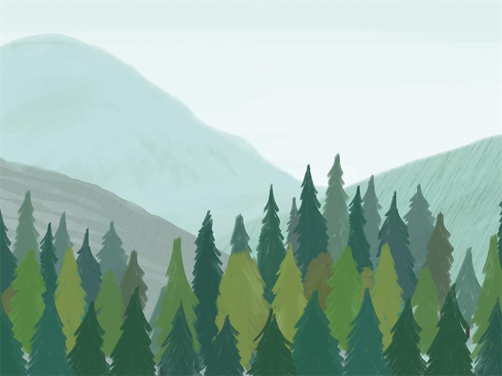 Fox Rolled Spring Landscape Picture Pine Small Hill Fog Vinyl Photography Backdrop - Foxbackdrop