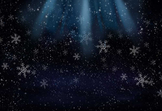 Fox Rolled Winter Snowflake Night Beautiful Vinyl Photo Backdrop - Foxbackdrop