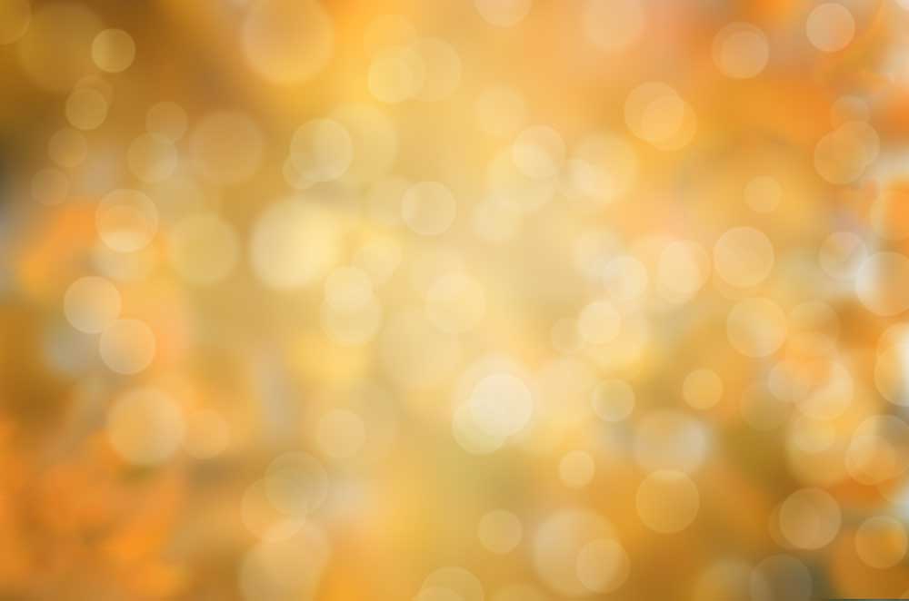 Fox Rolled Bokeh Dreamland Vinyl Photography Backdrop - Foxbackdrop