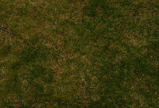 Fox Spring Grassland Vinyl Floor Backdrop