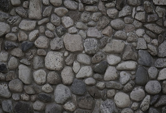 Fox Cobblestone Photography Vinyl Floor Backdrop