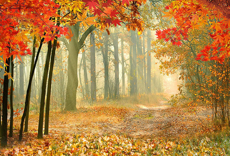 Fox Roll Forest Autumn Maple Leaf Thick Vinyl Backdrop