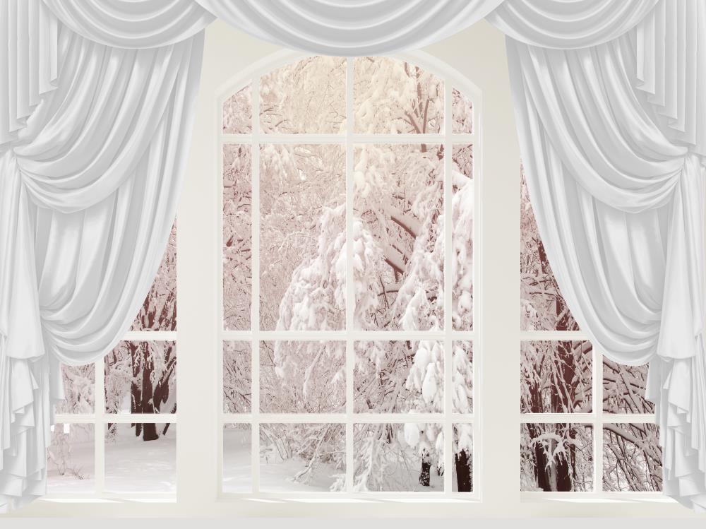 Fox Snow Outside the Window Winter Photography Vinyl Backdrop