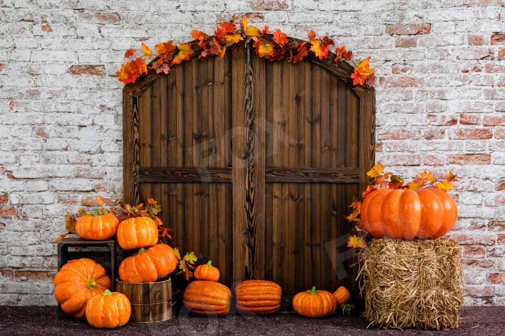 Fox Halloween Pumpkin Vinyl Backdrop
