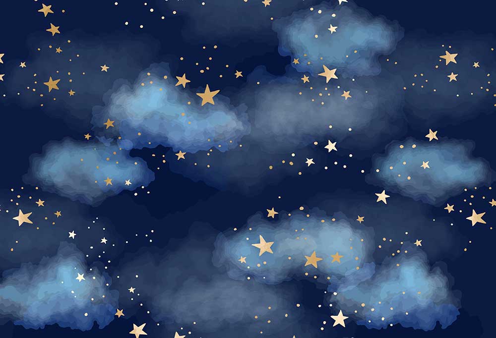 Fox Clouds Star Moon Blue Vinyl Photography Backdrop