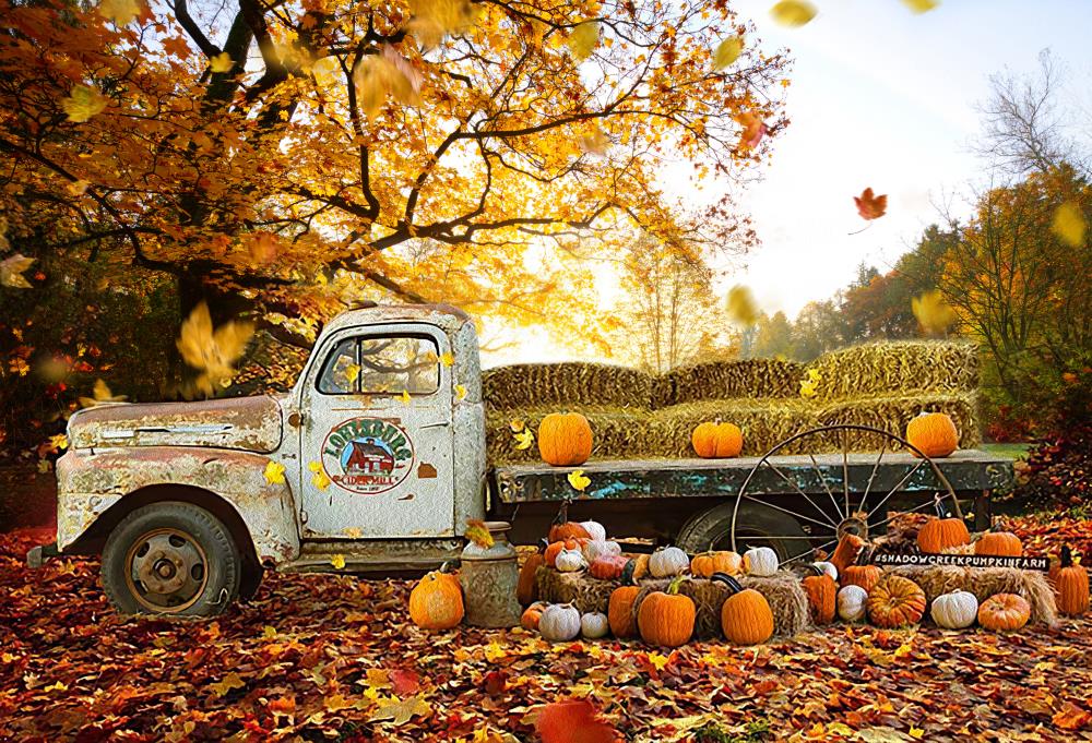 Fox Roll Autumn Maple Leaf Outdoor Photography Vinyl Backdrops