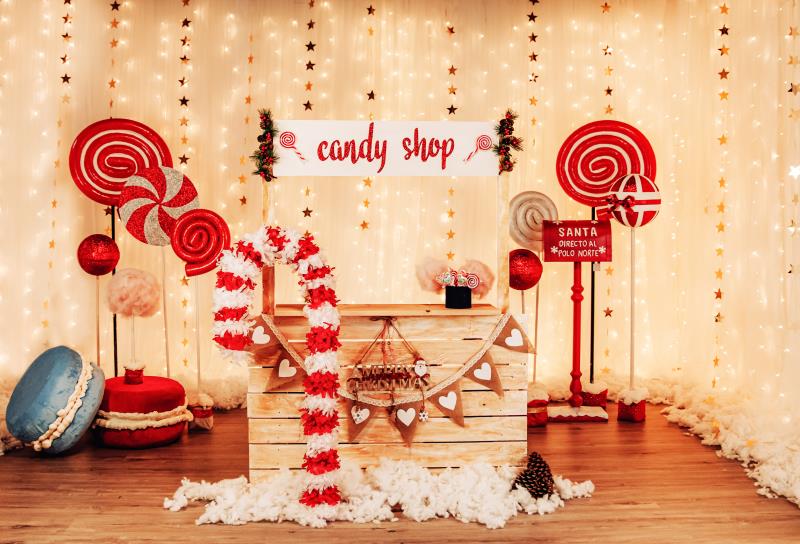 Fox Candy Shop Valentine's Day Vinyl Backdrop