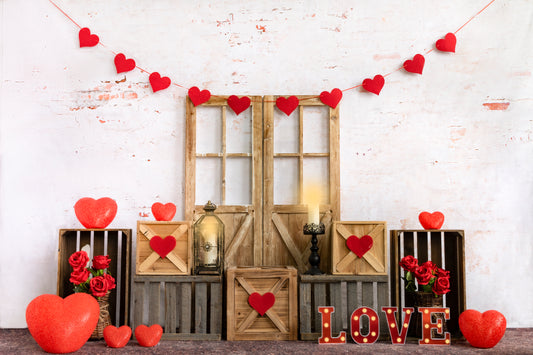 Fox Love Indoor Photography Valentine's Day Vinyl Backdrop