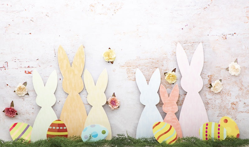 Fox White Wall Easter Bunny Vinyl Photography Backdrop