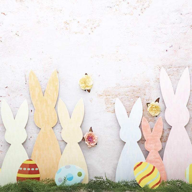 Fox White Wall Easter Bunny Vinyl Photography Backdrop