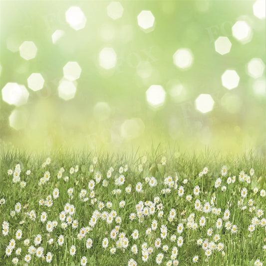Fox Spring Bokeh Small Chrysanthemum Photography Vinyl Backdrop
