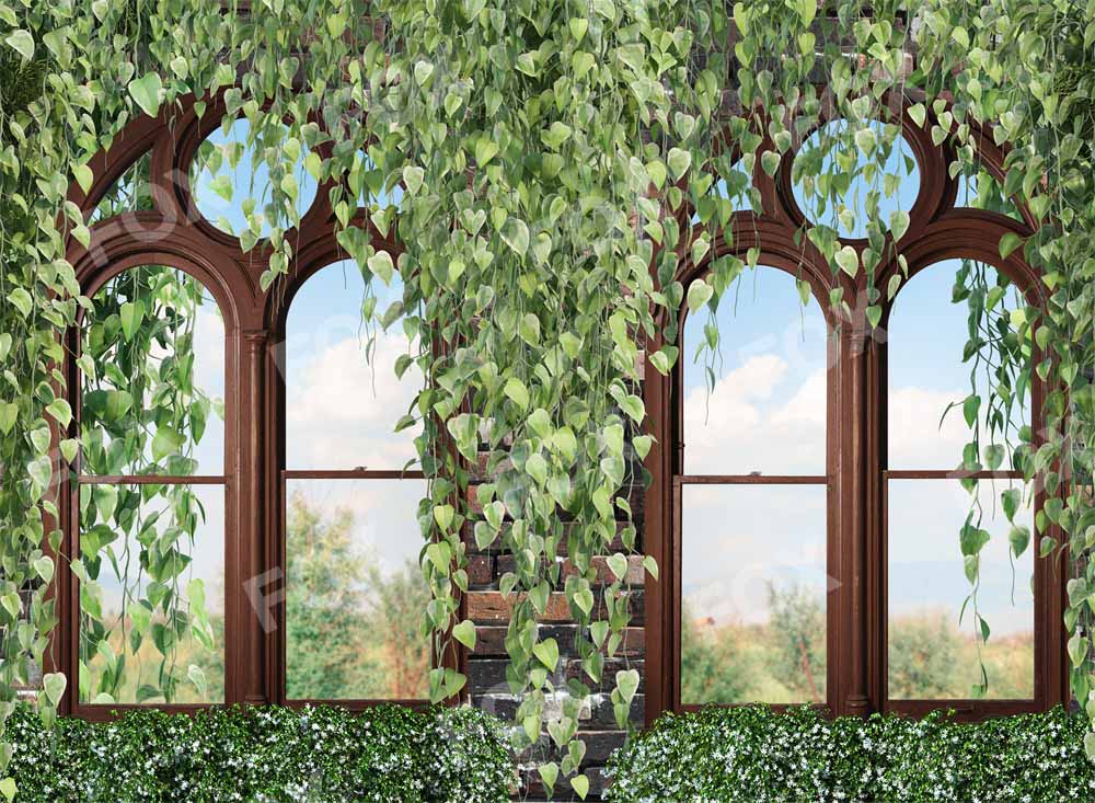 Fox Spring Window Wall Vinyl Photography Backdrop