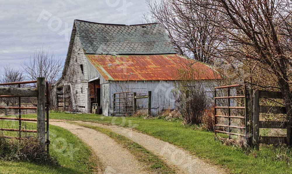 Fox Lugares Rurales Country Road Vinyl Photography Backdrop