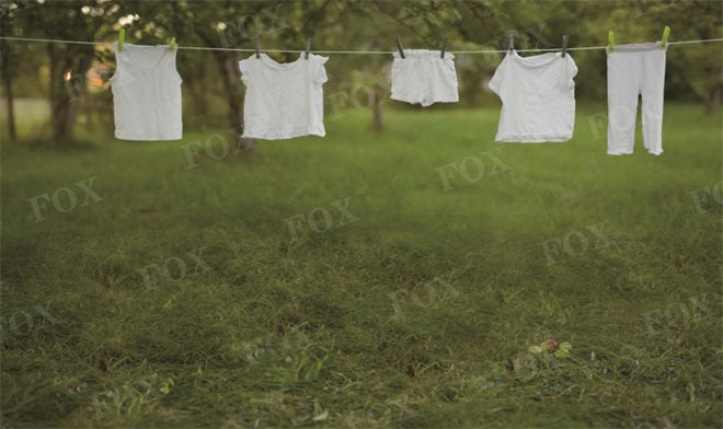 Fox Spring Washing Days Vinyl Outdoor Photography Backdrop