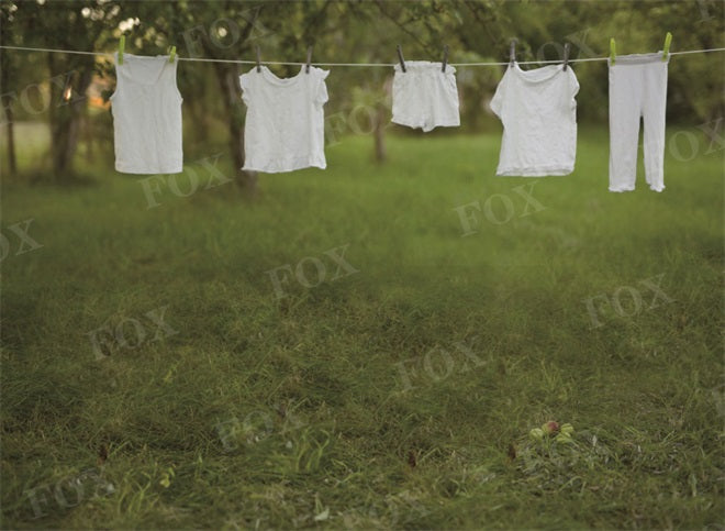 Fox Spring Washing Days Vinyl Outdoor Photography Backdrop