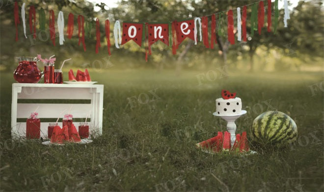 Fox Smash Cake Birthday Summer Watermelon Party Outdoor Photography Vinyl Backdrop