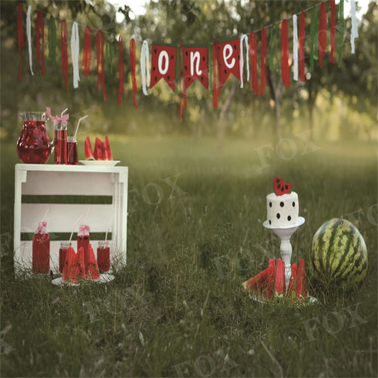 Fox Smash Cake Birthday Summer Watermelon Party Outdoor Photography Vinyl Backdrop