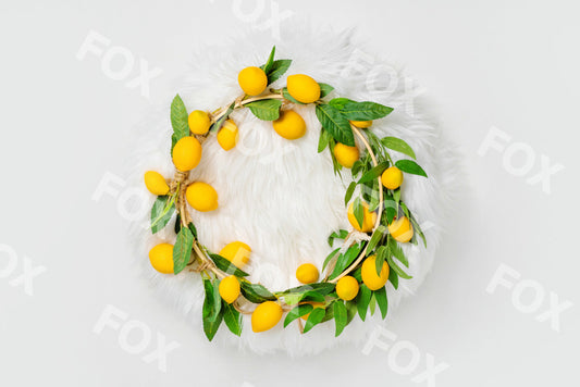 Fox Lemon Newborn Boho Vinyl Summer Photography Backdrop