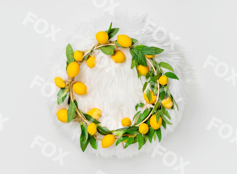 Fox Lemon Newborn Boho Vinyl Summer Photography Backdrop