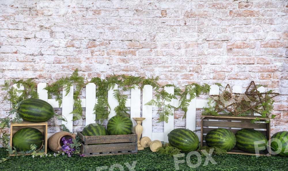 Fox Watermelon Field Vinyl Summer Photography Backdrop