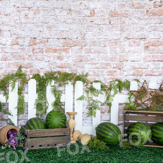 Fox Watermelon Field Vinyl Summer Photography Backdrop