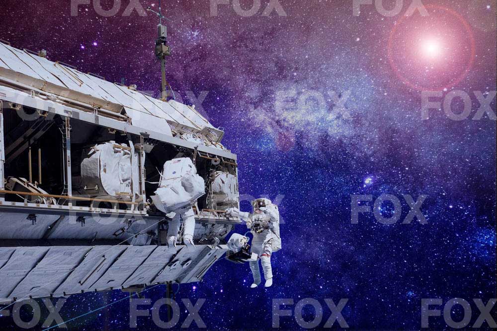 Fox Starry Sky Astronaut Vinyl Photography Backdrop