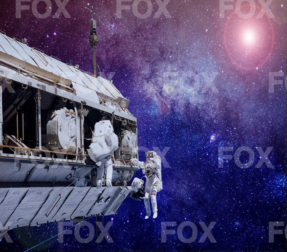 Fox Starry Sky Astronaut Vinyl Photography Backdrop