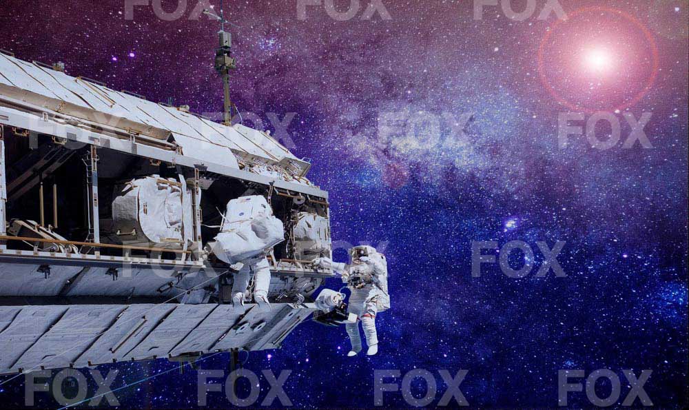 Fox Starry Sky Astronaut Vinyl Photography Backdrop