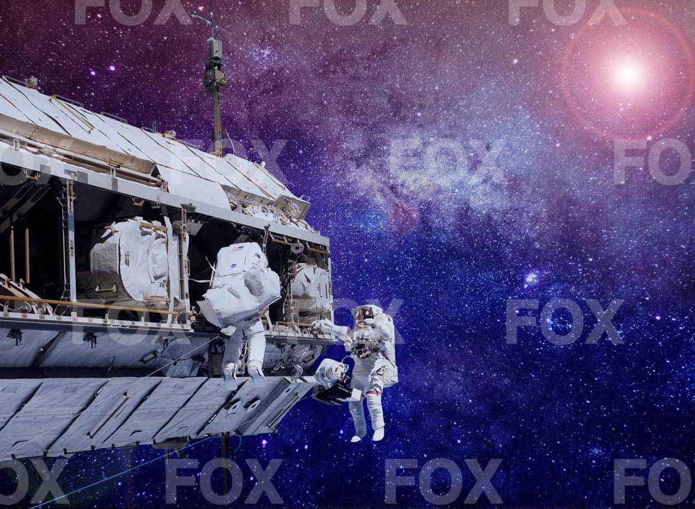 Fox Starry Sky Astronaut Vinyl Photography Backdrop