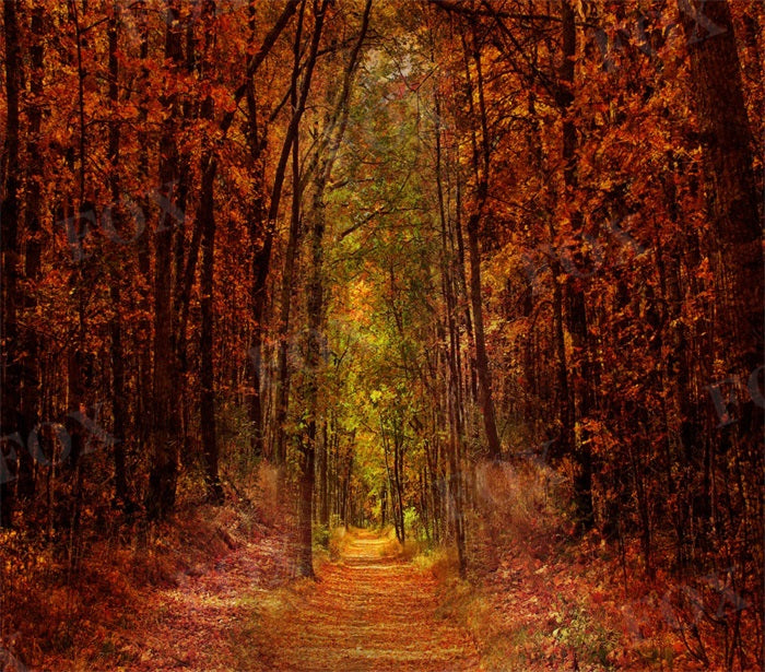 Fox Natural Landscape Autumn Outdoor Photography Vinyl Backdrop