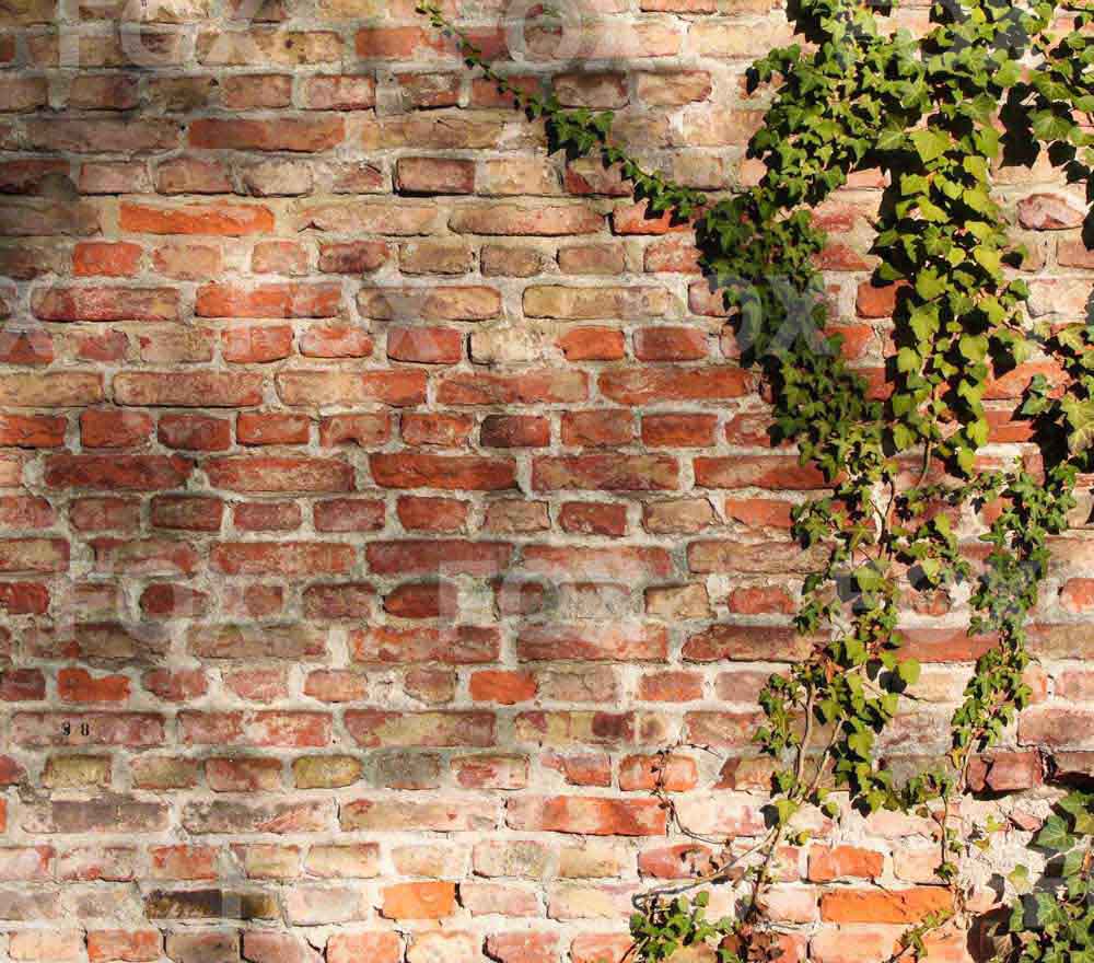 Fox Brick Wall Grass Wall Vinyl Portrait Backdrop