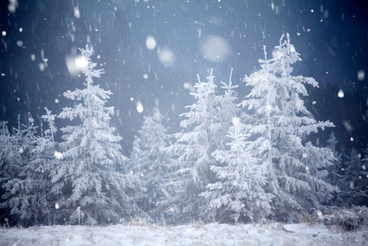 Fox Winter Snow Pine Vinyl Outdoor Photography Backdrop