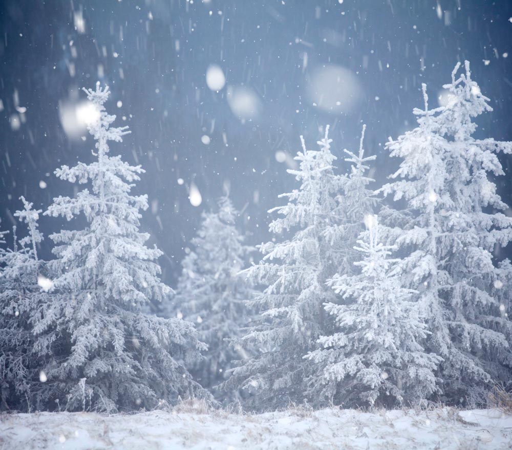 Fox Winter Snow Pine Vinyl Outdoor Photography Backdrop