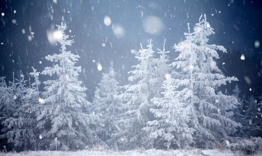 Fox Winter Snow Pine Vinyl Outdoor Photography Backdrop