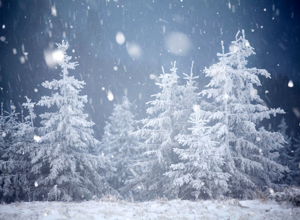 Fox Winter Snow Pine Vinyl Outdoor Photography Backdrop