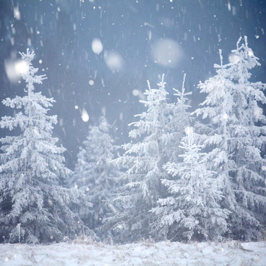 Fox Winter Snow Pine Vinyl Outdoor Photography Backdrop