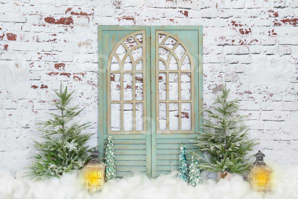 Fox Winter Christmas Snow Vinyl Backdrop