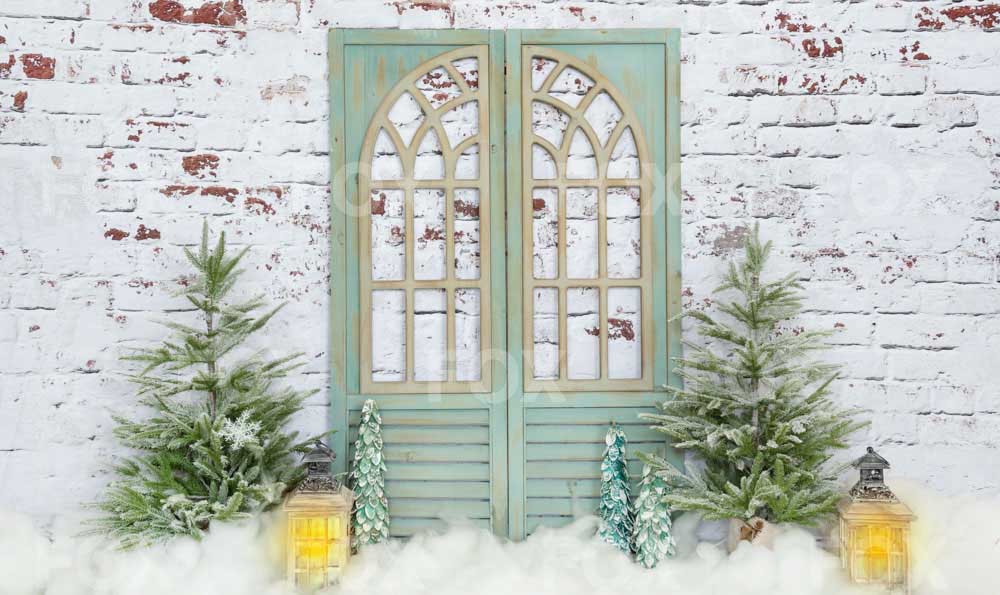 Fox Winter Christmas Snow Vinyl Backdrop