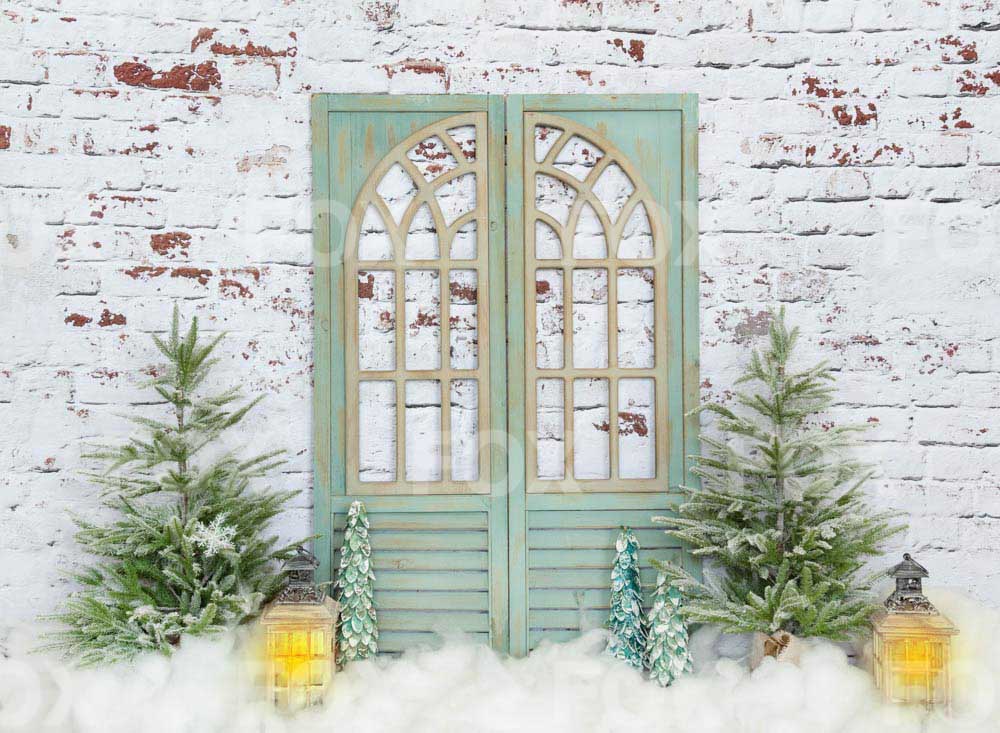 Fox Winter Christmas Snow Vinyl Backdrop