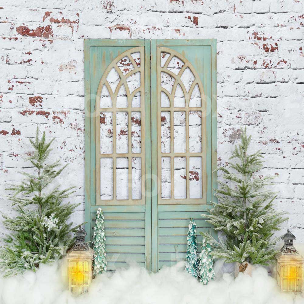 Fox Winter Christmas Snow Vinyl Backdrop