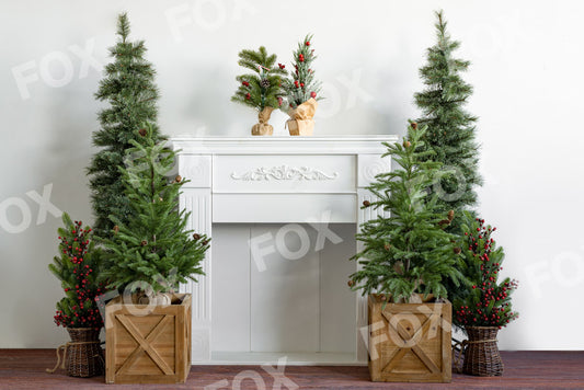 Fox White Christmas Vinyl Indoor Photography Backdrop