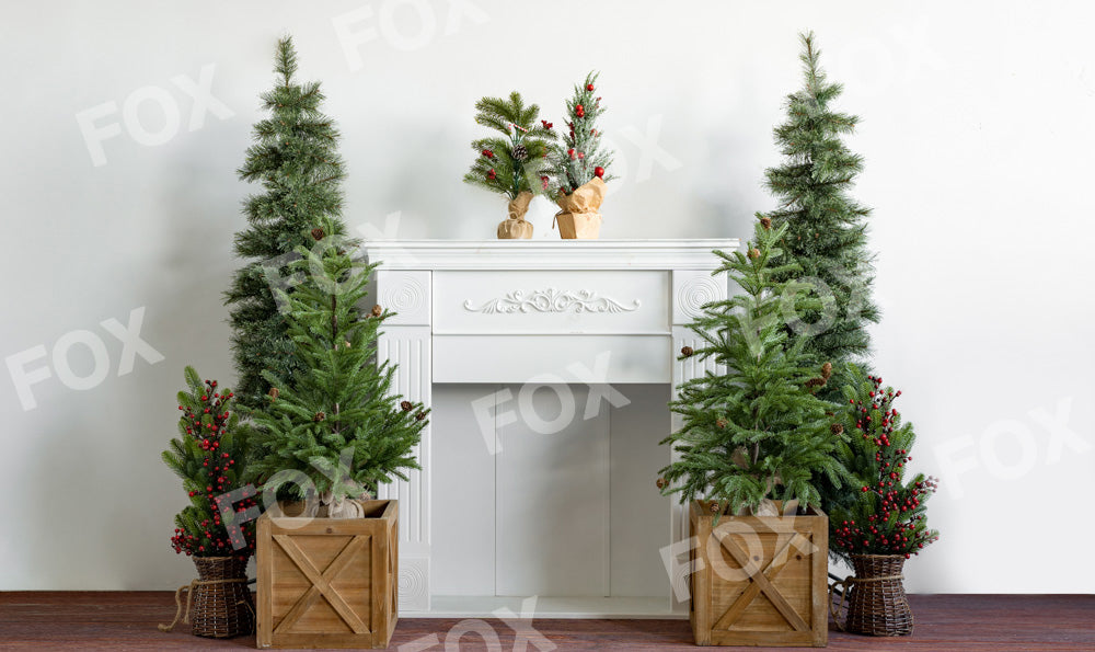 Fox White Christmas Vinyl Indoor Photography Backdrop