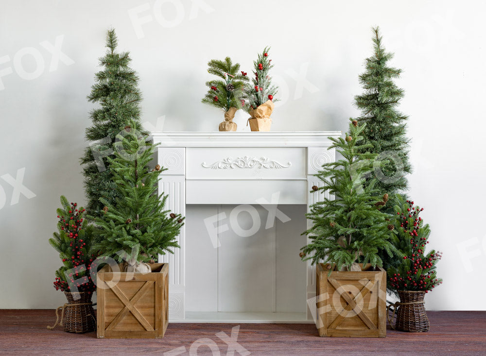 Fox White Christmas Vinyl Indoor Photography Backdrop