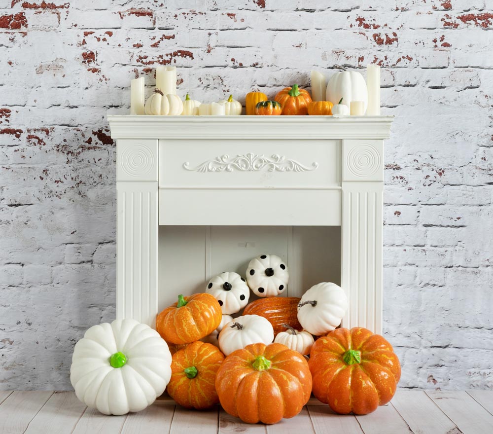 Fox Autumn Pumpkin Fireplace Vinyl Photography Backdrop