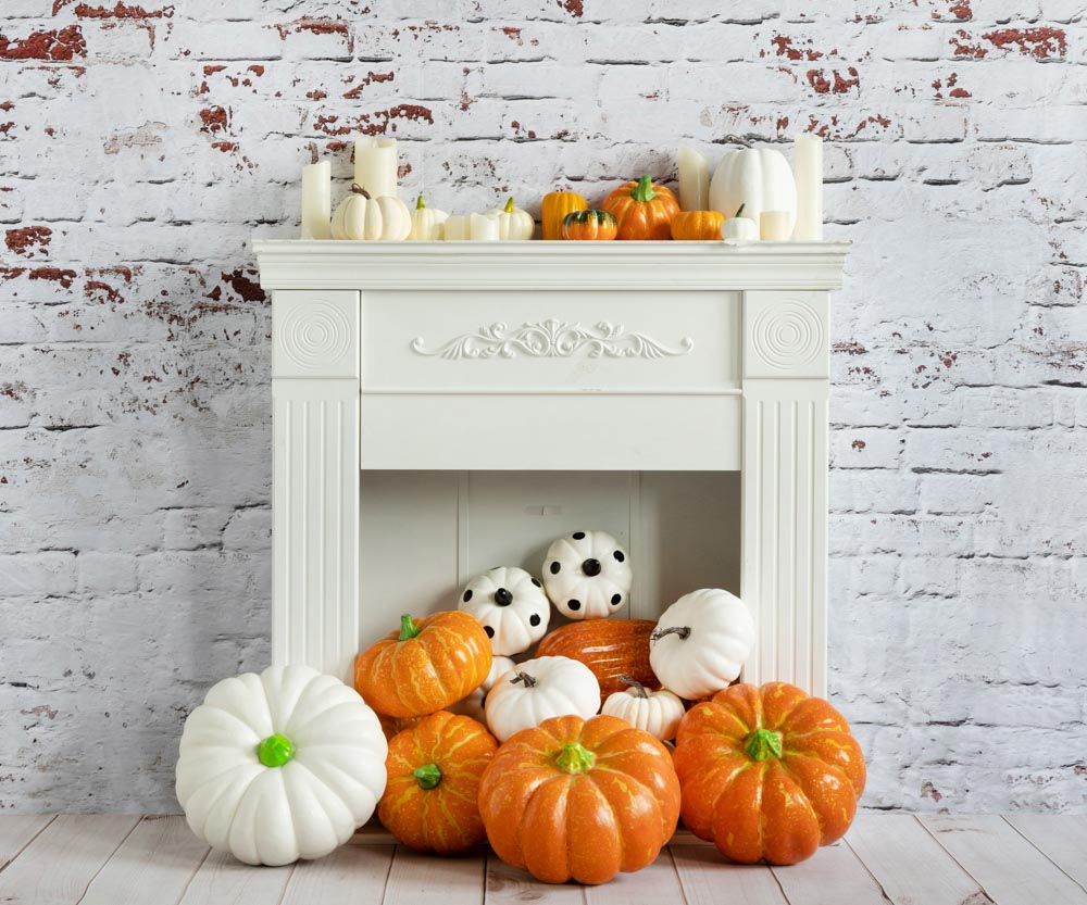 Fox Autumn Pumpkin Fireplace Vinyl Photography Backdrop