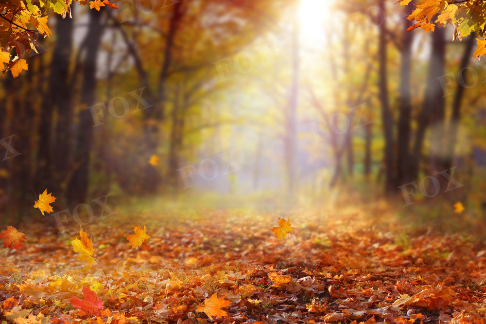 Fox Autumn Sunset Landscape Forest Vinyl Backdrop