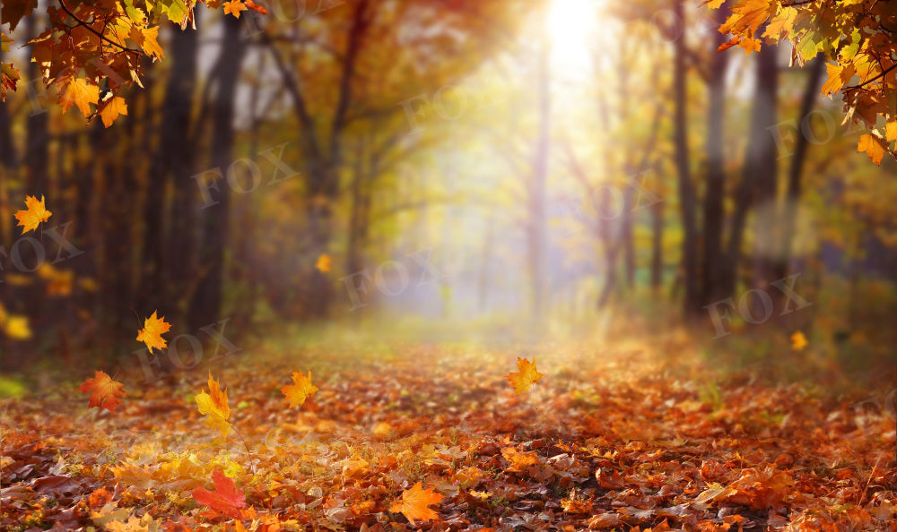 Fox Autumn Sunset Landscape Forest Vinyl Backdrop